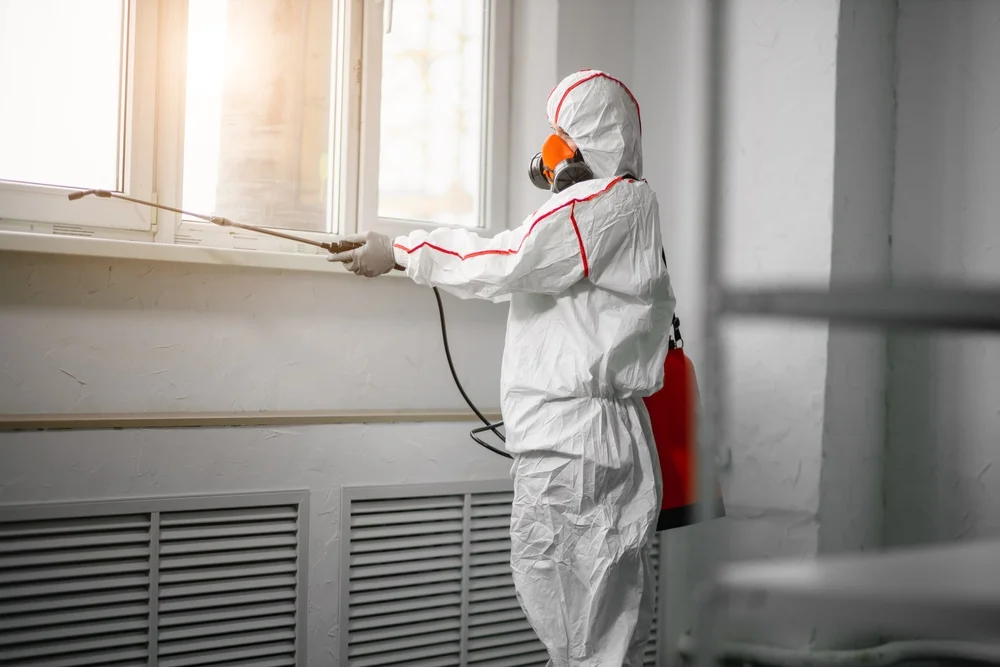 Professional mold remediation services in Wayland, MA